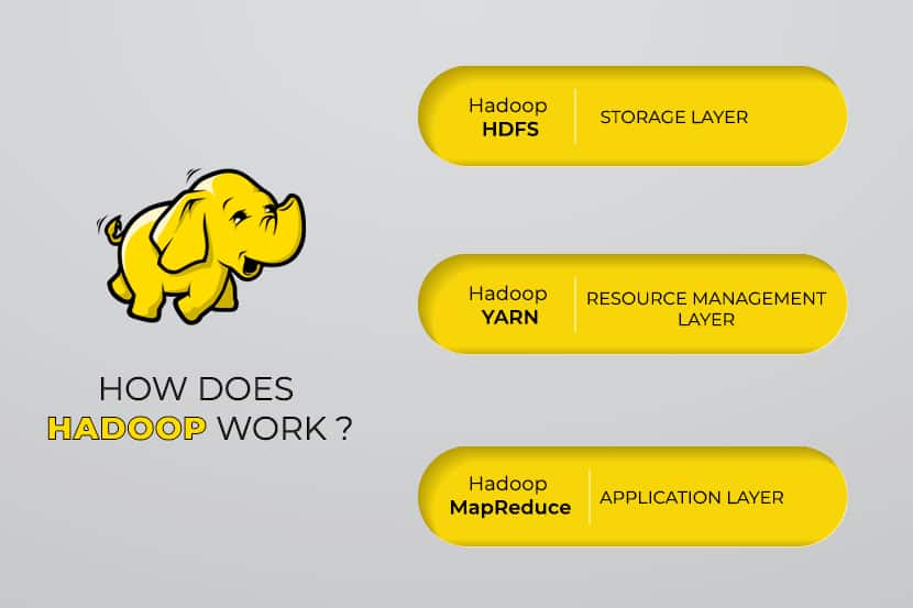 What Is Hadoop Apache Hadoop Big Data Processing