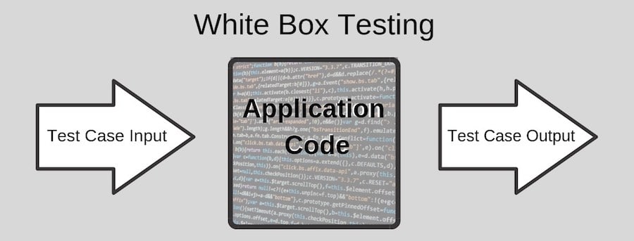 white box and black box testing