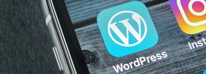 a mobile phone displaying the wordpress logo