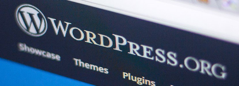 Speed Up WordPress: 25 Performance Tips