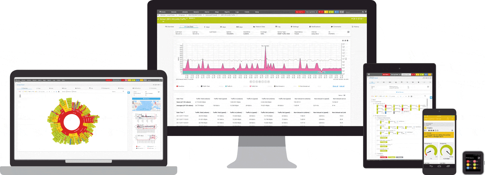 Paessler Router Traffic Grapher server management software