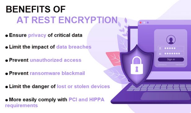 Data Encryption at Rest Explained | phoenixNAP Blog