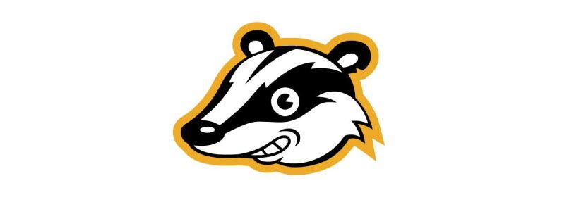 Privacy Badger security extension for Chrome