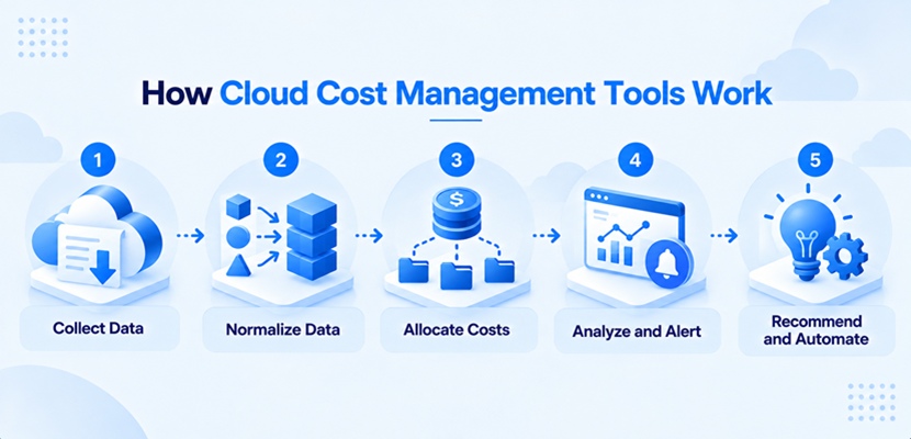 How Cloud Cost Management Tools Work: billing data is collected, normalized, allocated to owners, analyzed for anomalies, and turned into recommendations and automated actions.