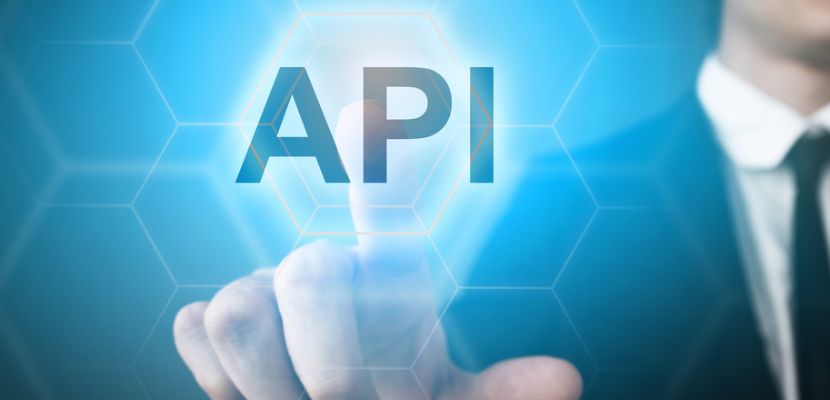 what is an api key