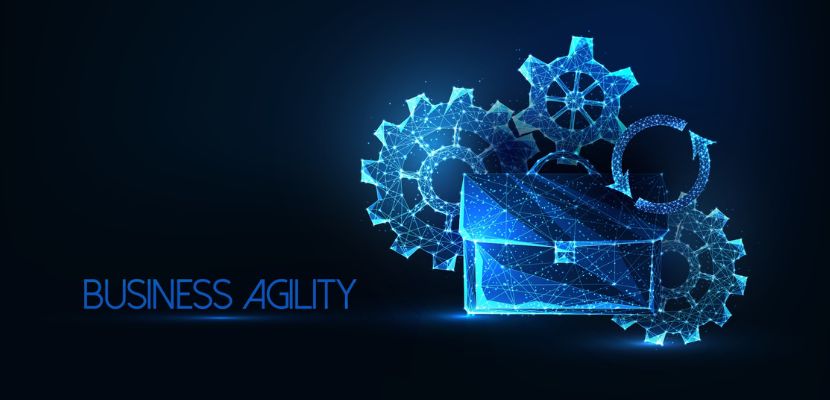 what is business agility