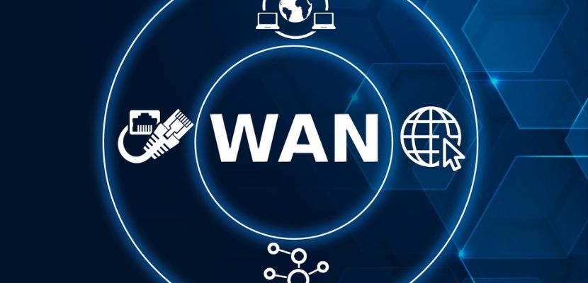 wan architecture