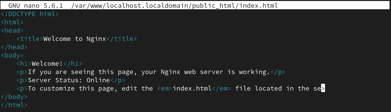 test index.html page nginx new directory