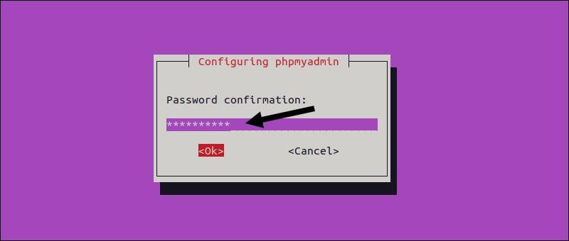 Confirm phpMyAdmin password.