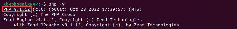 php -v 8.1 terminal output