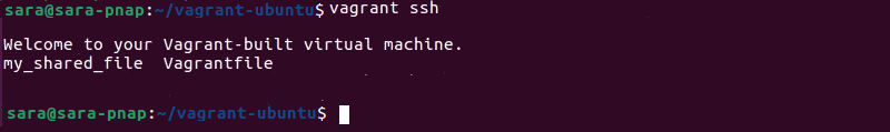 vagrant ssh terminal output