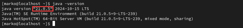 The default version of Java installed on the system.