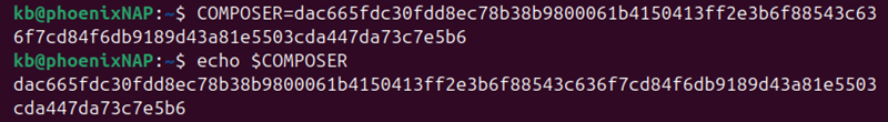 COMPOSER Bash variable hash terminal output