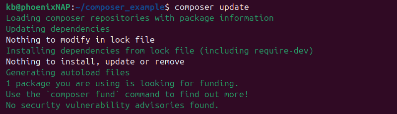 composer update terminal output