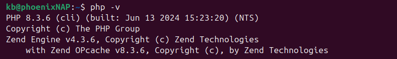 php -v 8.3.6 terminal output
