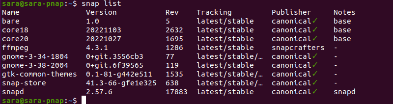 snap list terminal output