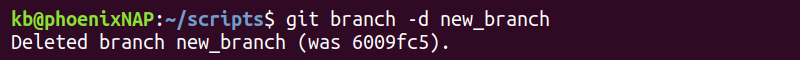 git branch -d delete branch output