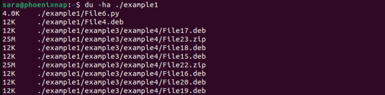 How to Check the Size of a Directory in Linux