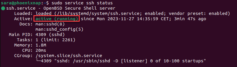 sudo service ssh status terminal output