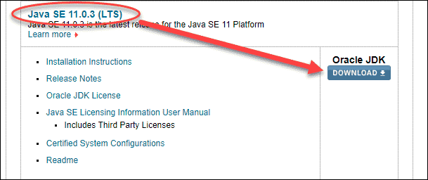 install java plugin manually