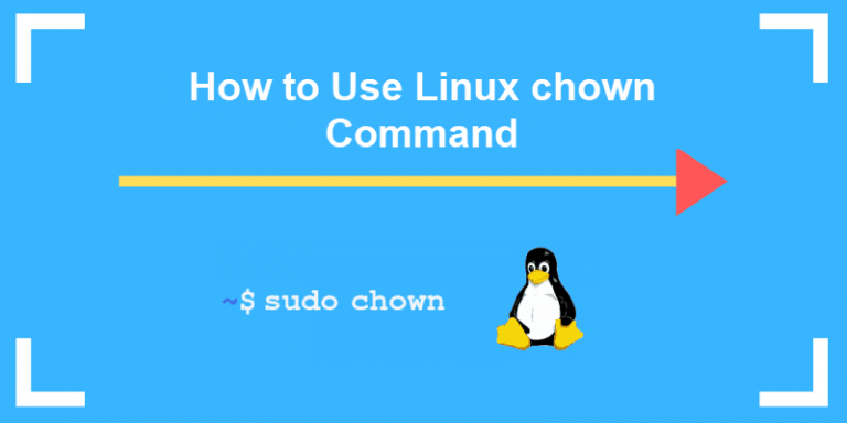 Chown linux не работает