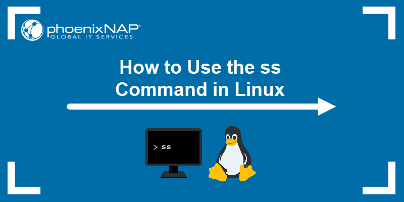 How to Use the ss Command in Linux