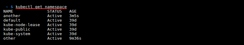 Terminal output of the command kubectl get namespace