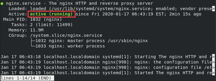 Nginx service is active and running on your system.