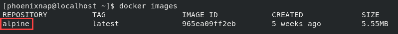 Alpine image in Docker Repository