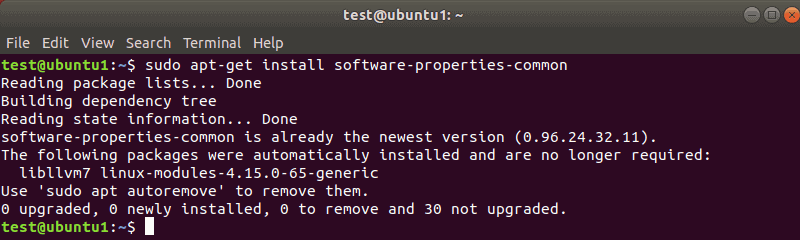 apt-get install command output