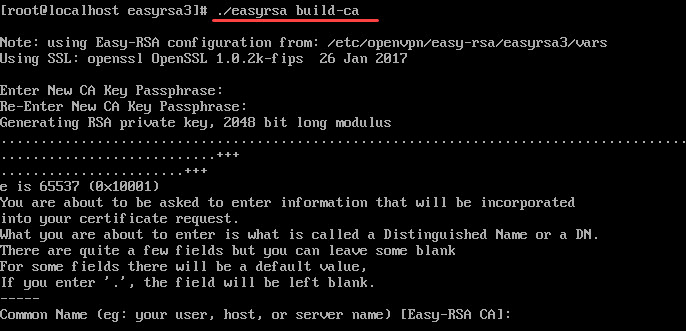 Build certificate authority for OpenVPN with Easy RSA.