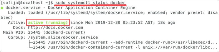Output confirming the Docker service is active and running.