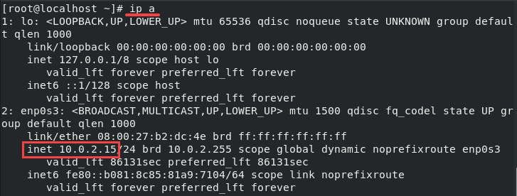 Command for checking your IP address and output with IP number.