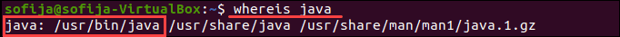 Check Java path on Ubuntu.