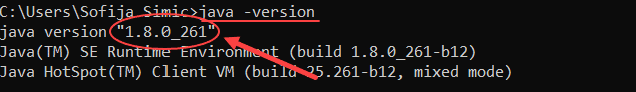 java version 1.8.0_261 installed on windows