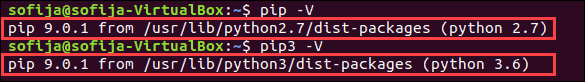 Commands for checking Pip version.