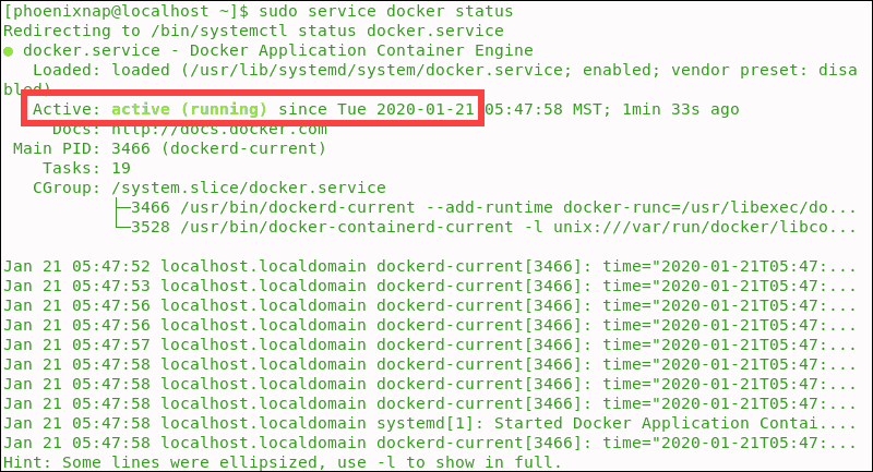 Terminal indicates that Docker is active and running.