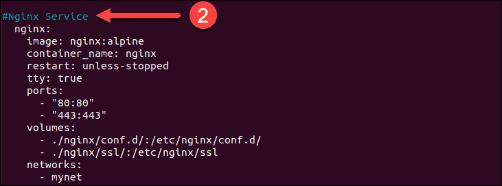 Nginx service configuration file for docker registry explained.