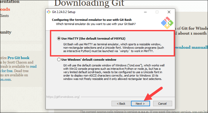 Select MinTTY as default terminal emulator