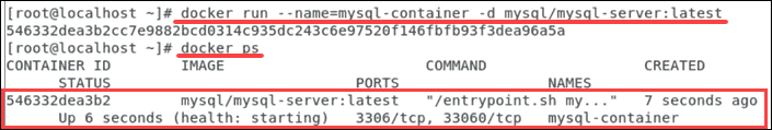 Command to deploy a MySQL Docker container and verify MySQL container is running