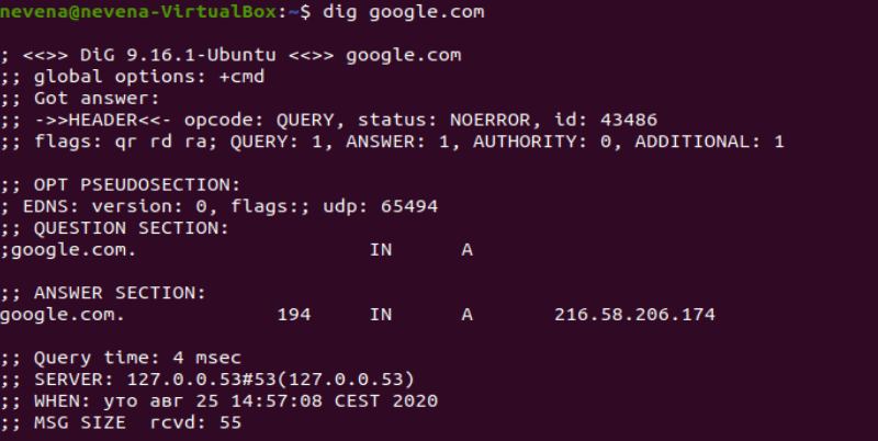 vandrerhjemmet Enrich Pengeudlån How to Use Linux dig Command (DNS Lookup) {With Examples}
