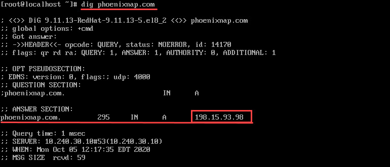 Basic dig command example.