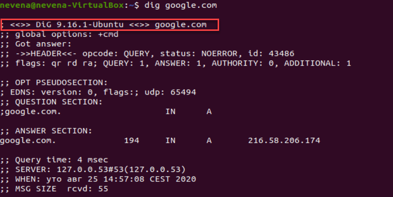 Interpreting basic dig command