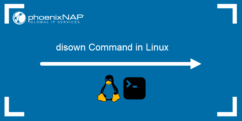 Disown command in Linux