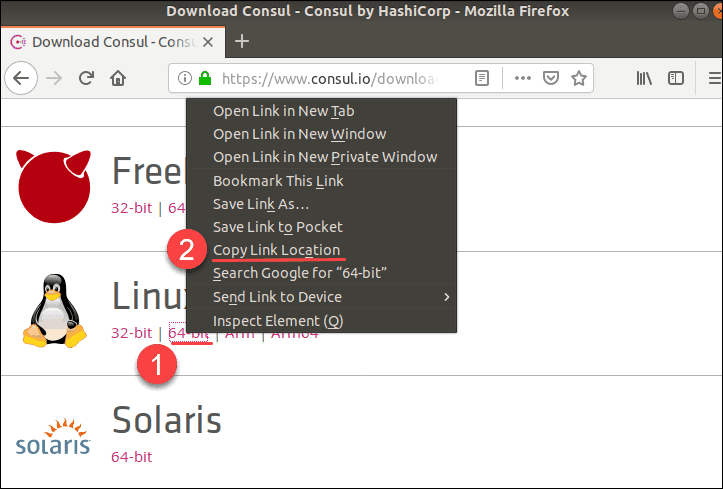 download consul installation package for linux