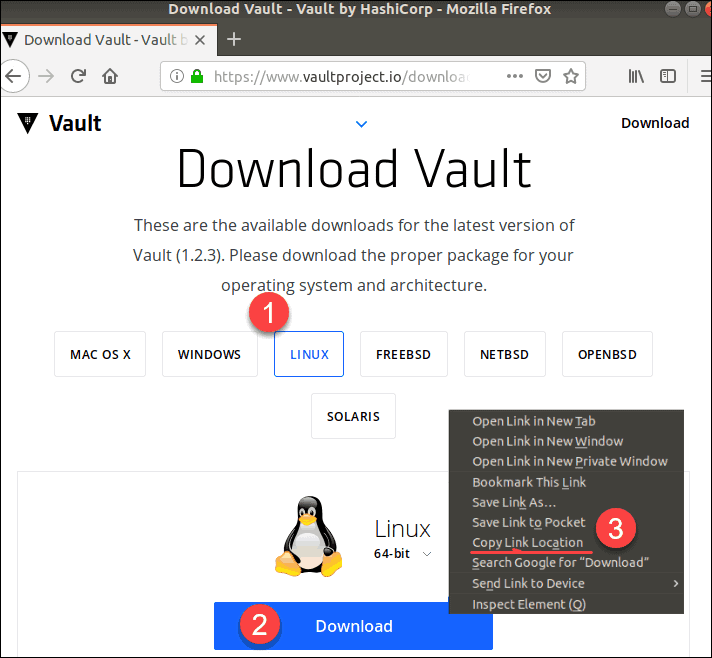 download vault for linux