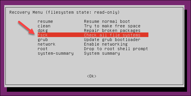 Linux recovery menu select fsck tool.