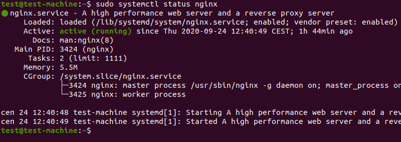 Checking Nginx status