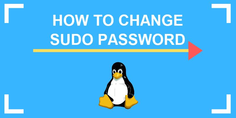 How To Change Root Password In Ubuntu {Easy Way}