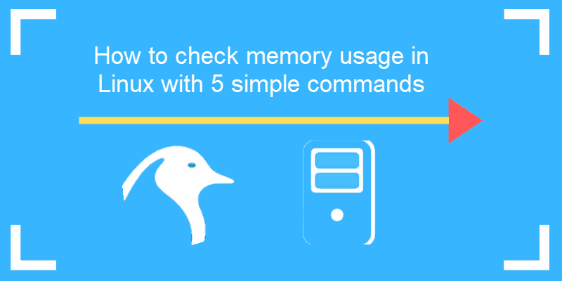 Swipe sikkerhed Ledningsevne 5 Commands to Check Memory Usage in Linux {Easy Way}